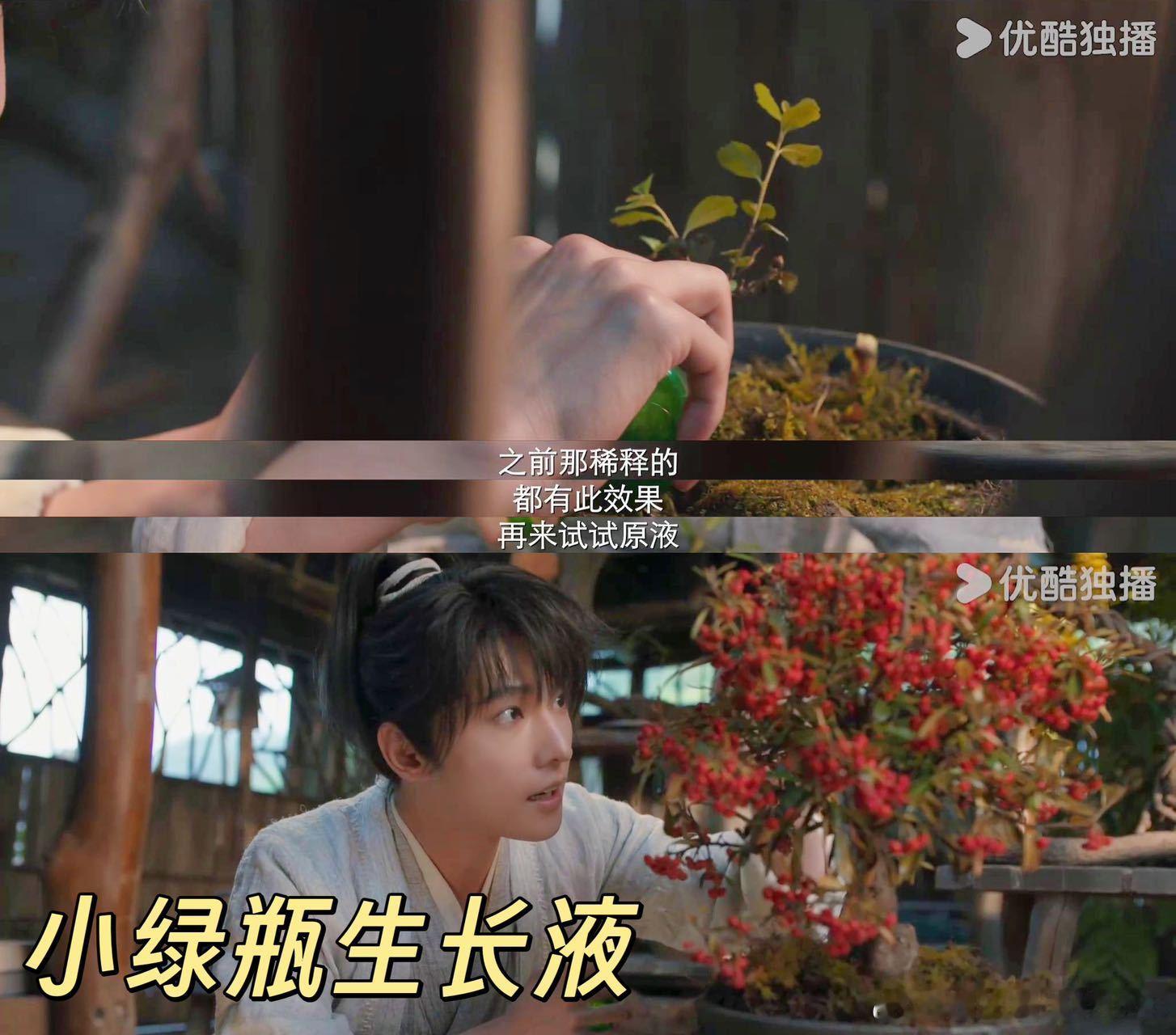 凡人修梗传 鸡蛋作筑基丹，观众太有才啦 ​​​
