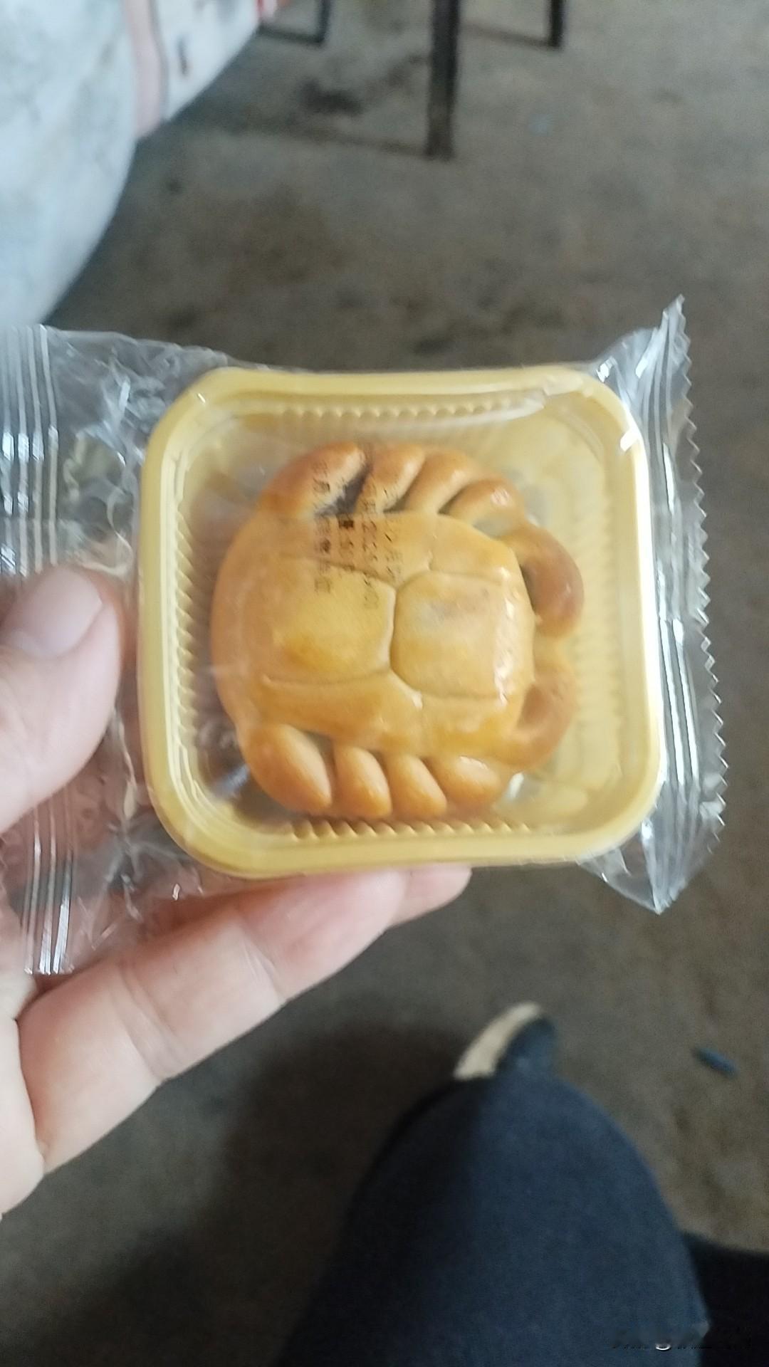 今天真是大风起兮，风西北风终于吹来了，冬天正式来了，感觉一下就冷了，