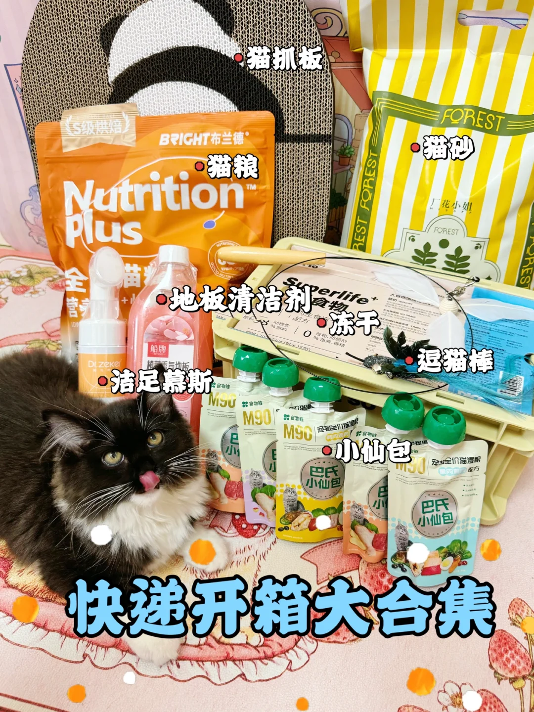 8月好物第1️⃣弹