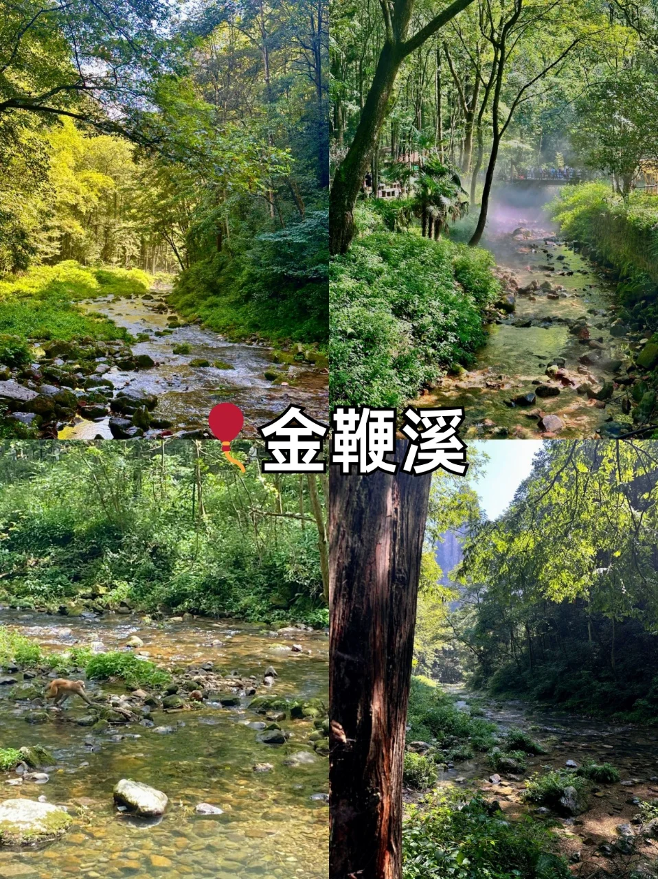 经典路线‼️避坑攻略|4天3晚张家界这么玩