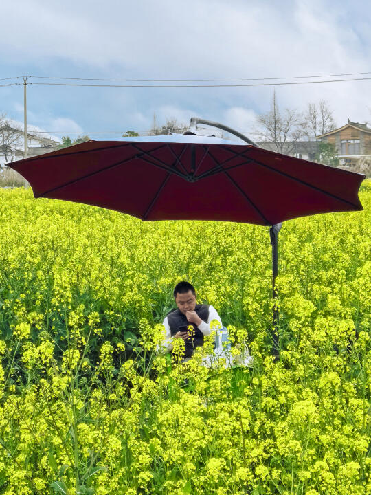 成都周末 没啥人的油菜花田适合躺平