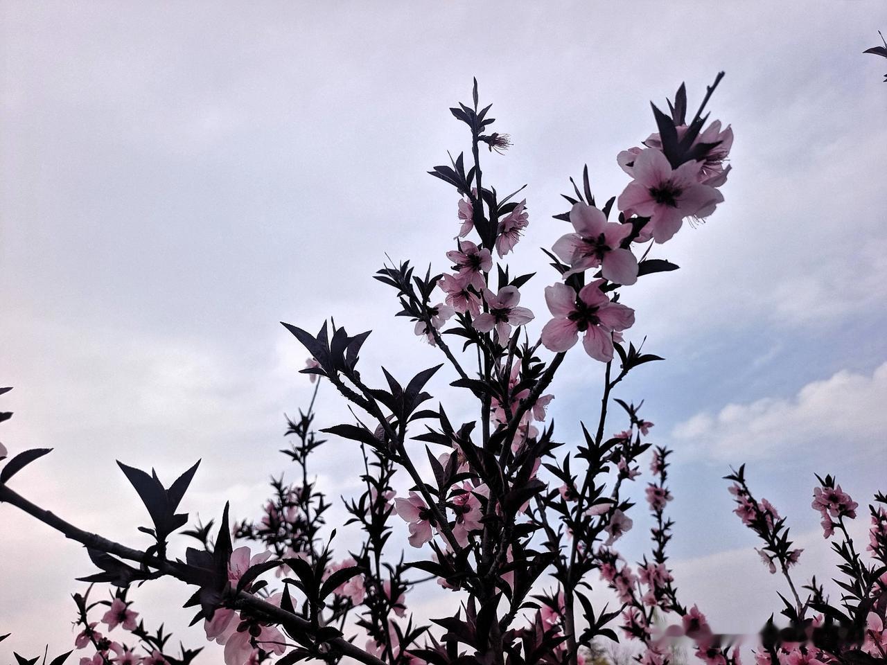 男人对女人花钱，不一定代表爱情，但男人不对女人花钱，肯定是没有爱情。

终生坚持