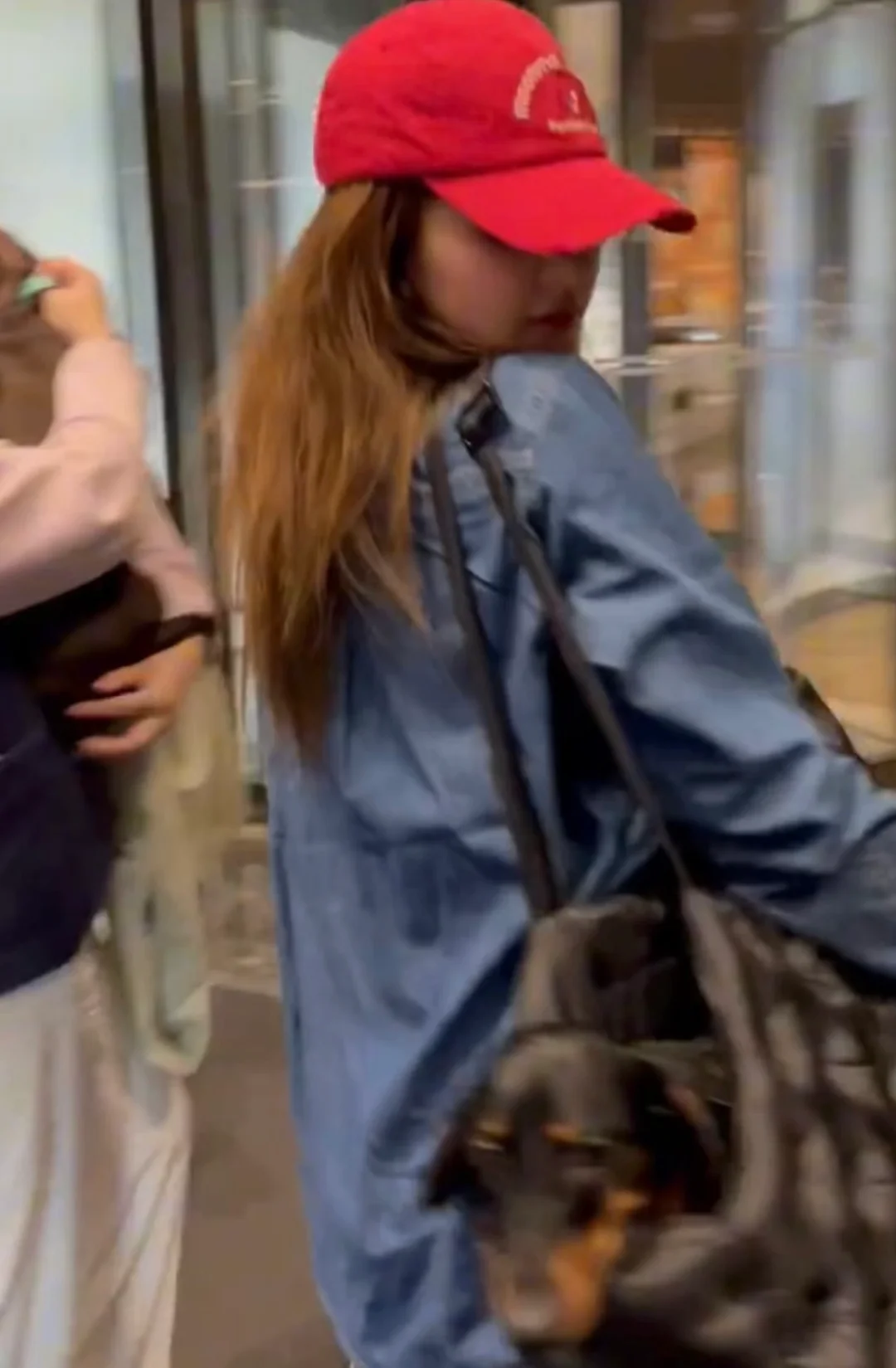 赵露思的狗狗应该是最幸福的吧！