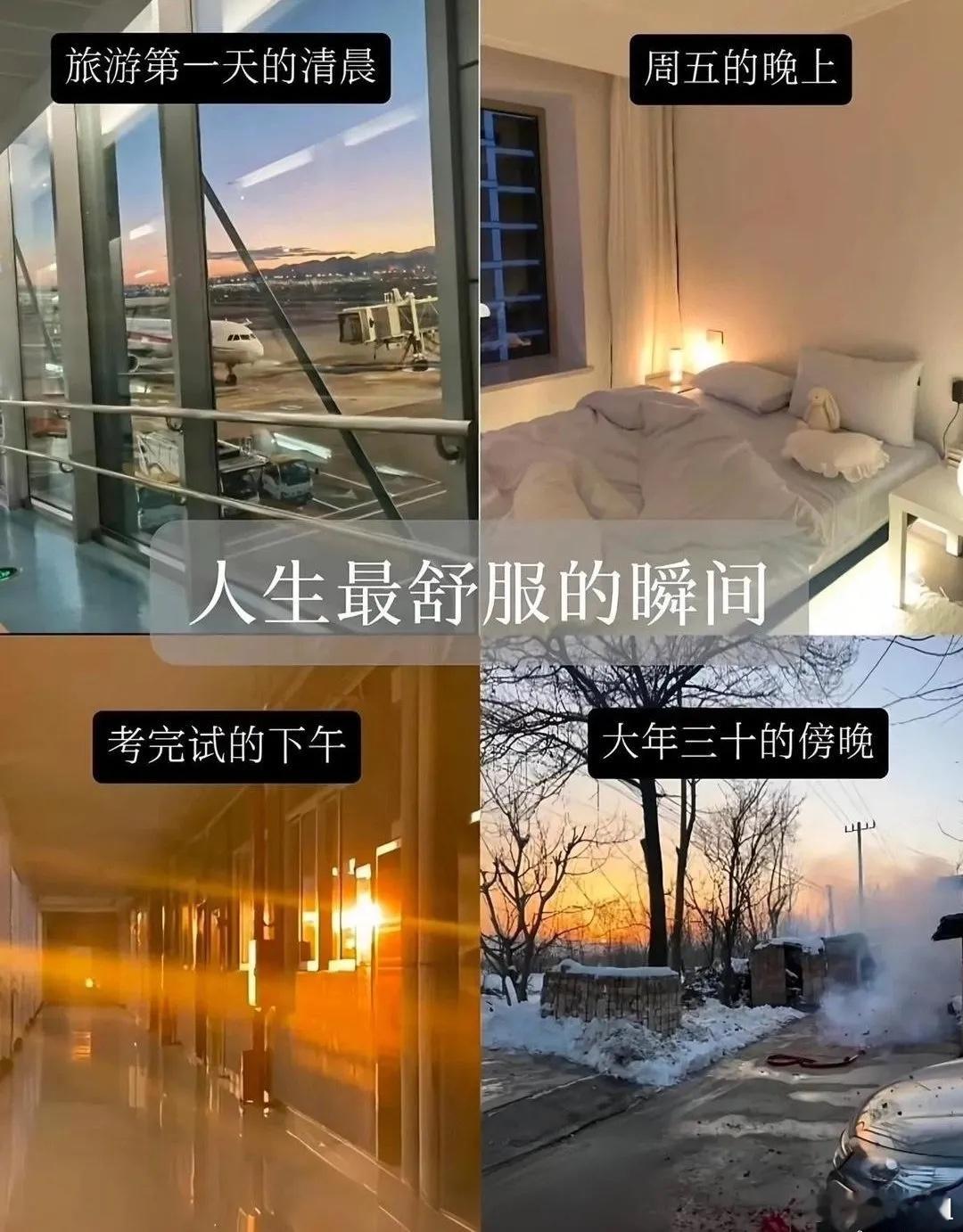 最幸福的时刻：旅游的第一天清晨，周五的晚上，考完试的下午，大年三十的傍晚[dog
