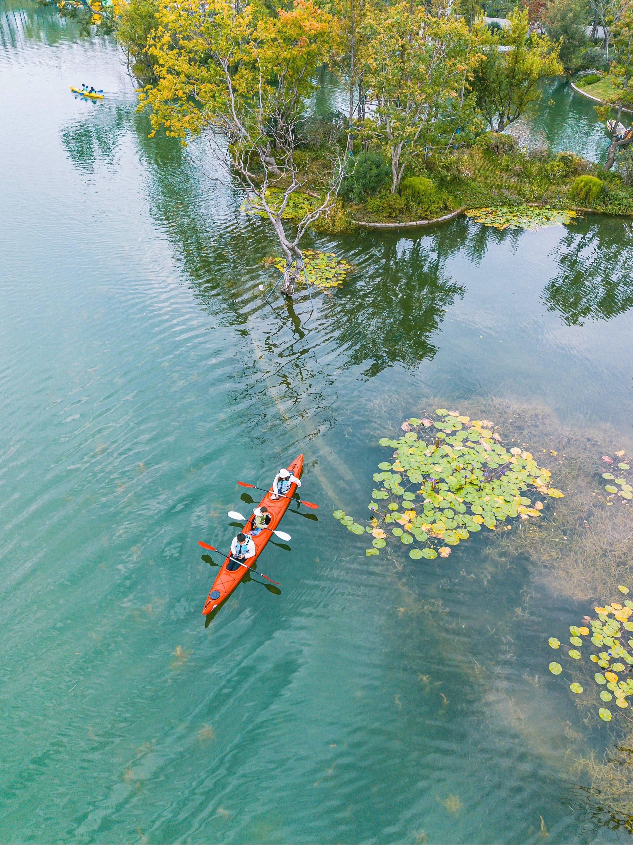武汉宝妈狂喜！带娃玩水终于不用赌水质。在武汉找一片敢让娃放心踩进的自然...