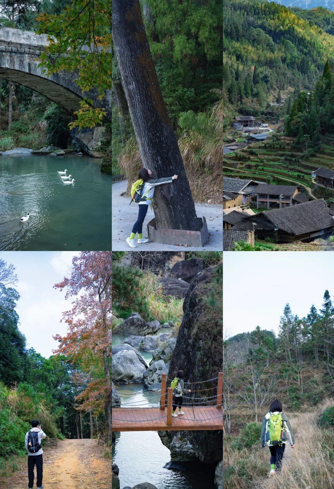 福州徒步|碾坑村-文殊台-绣山花谷-碾坑5h
📍碾坑村村委会
	
入口在千年古