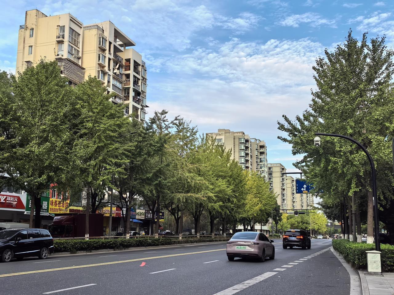 【下沙街头一瞥】