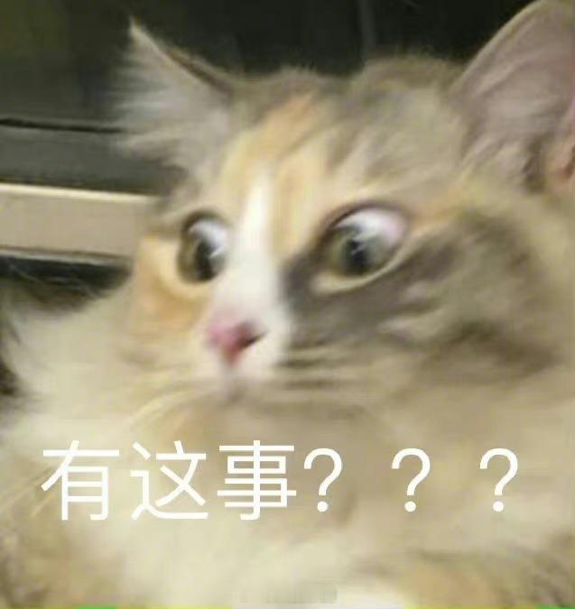 周二上新日 happy竞猜环节🔔猜猜哪个款第一个开价？评论区留言！！答案就在今