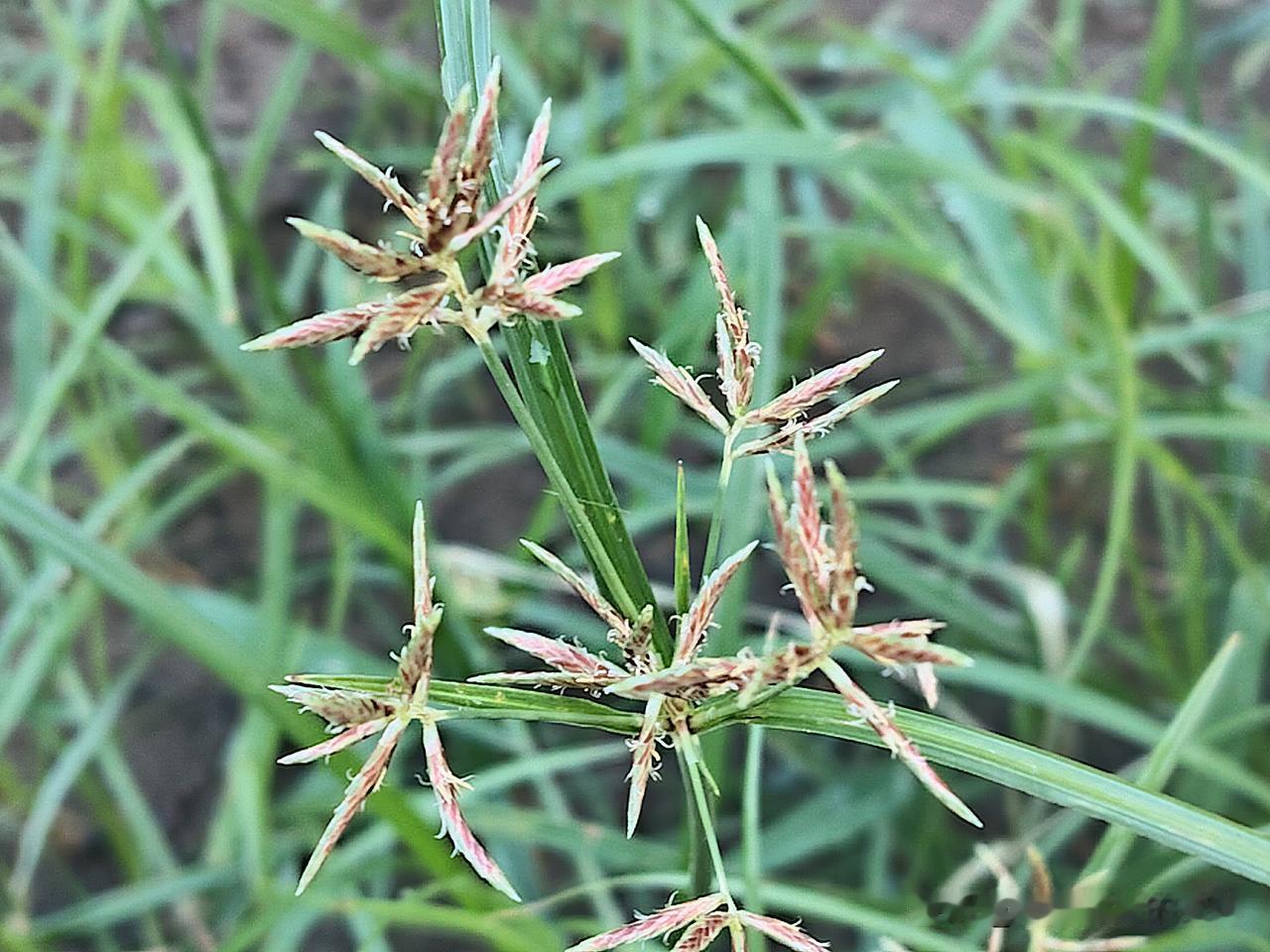 又是崭新的一天
一天好心情
心情好
一切都好
