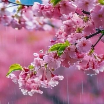 每日一善🍃 阳光信用 ➡️🌞极好，🉑蹭🉑🧱➡️🈲快🧱，🈲🔗➡️