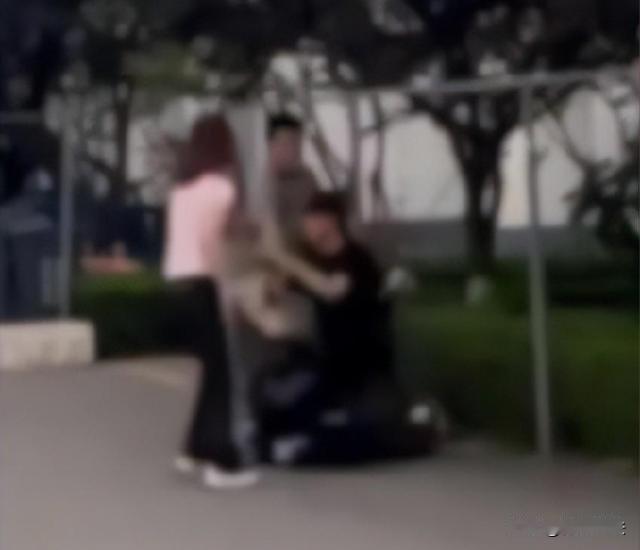 河南，两男子游手好闲，开车在路上闲逛，看到一女子颇有姿色就给人家拽车上来了，俩人