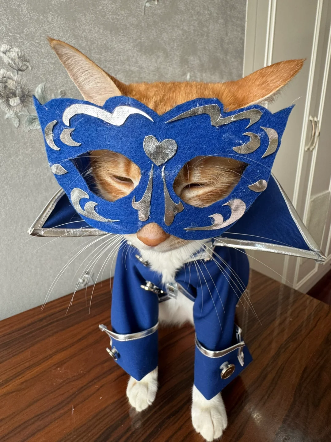 是你喜欢的覆面系男友