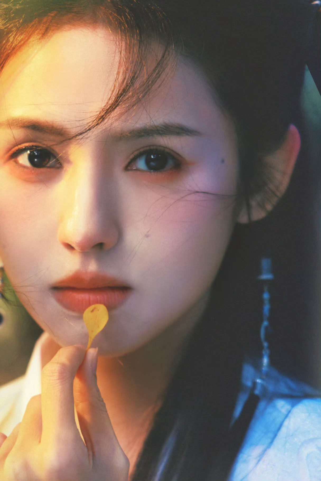 这位鹤男少侠有没有人说过你和某位故人长得很像！！ 