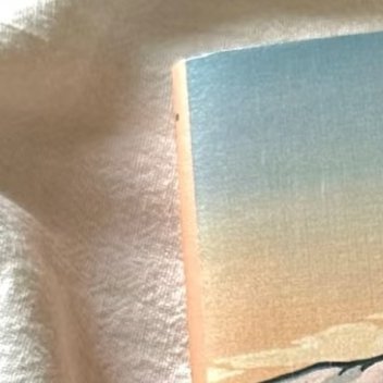 下雨，下雪是没有声音的。每到这时，待在屋里，感受着悄然无声的世界，便觉得自己像聋