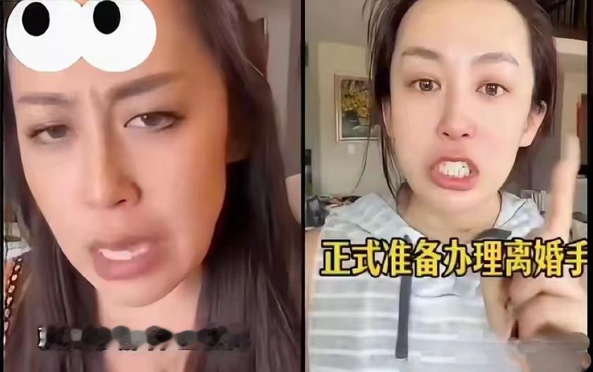本该安稳坐等退休享福，刑法教授陈枫偏偏不愿随波逐流，直面大众不敢直说的涉外婚姻乱