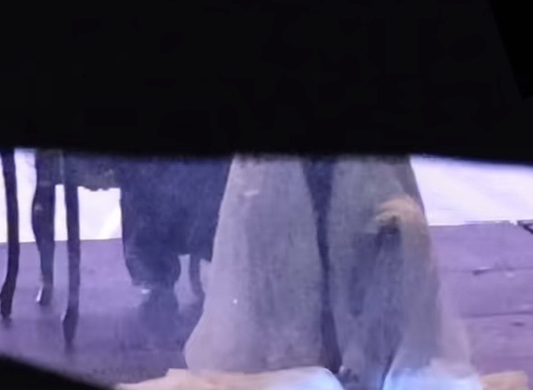 如果艺人本人可以发彩排的话，请您们两位发一下这个的彩排视频