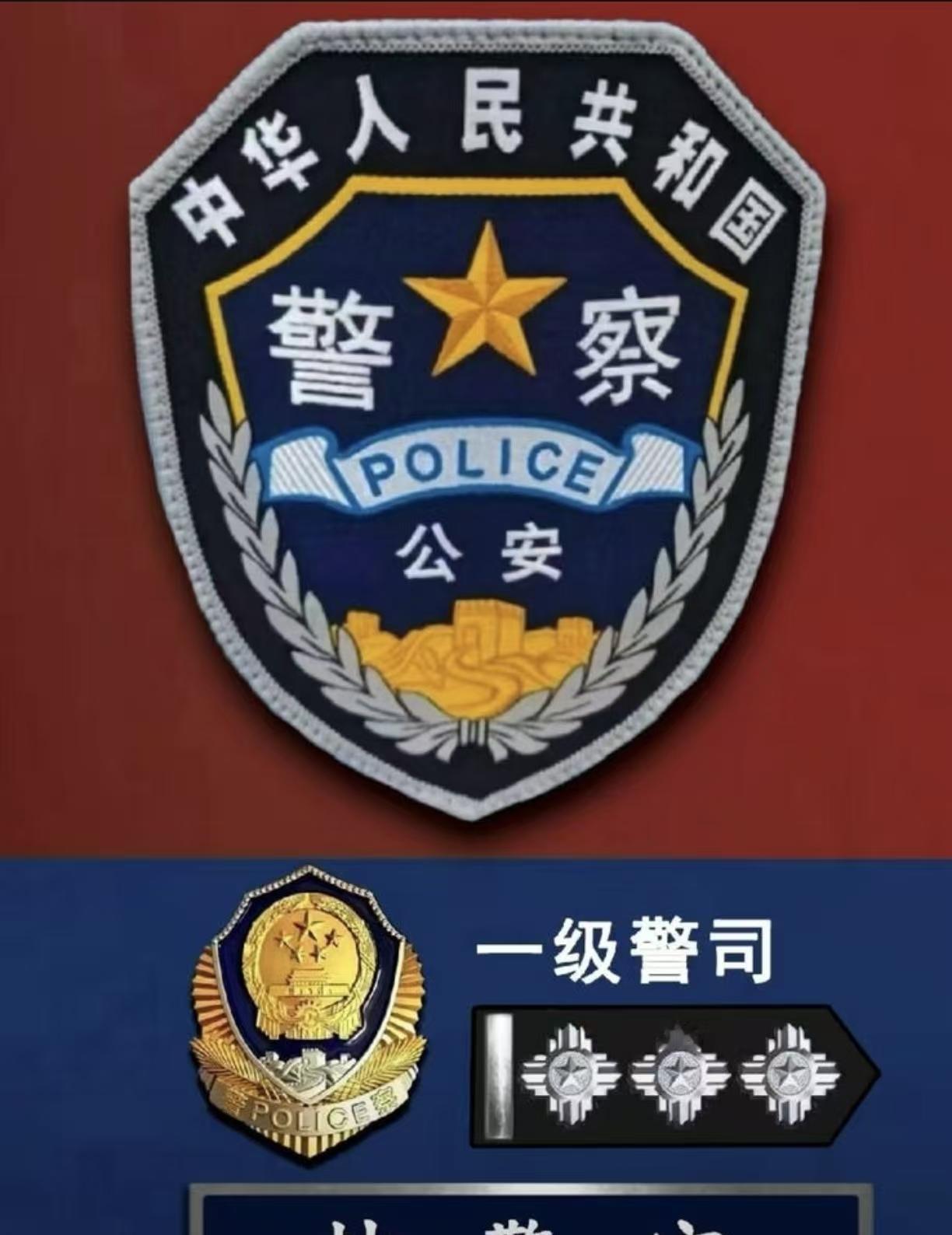 带你认识和欣赏中国人民警察的警种臂章、胸徽、警衔和辅警标志，每一样都有它的独特含