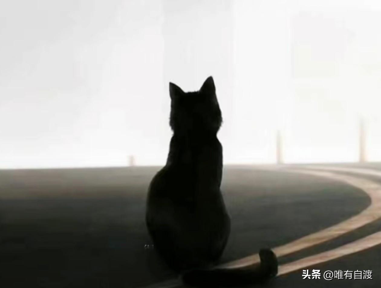 毋庸置疑，话语权永远掌握在活人的手里，死人没有话语权了。
尤其是话语权一旦被小人