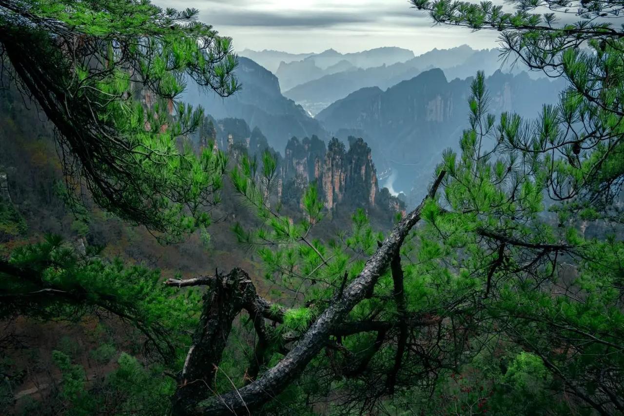 2026 年 4 月中旬，北约派出有史以来规模最大的代表团，除匈牙利外，几乎所有