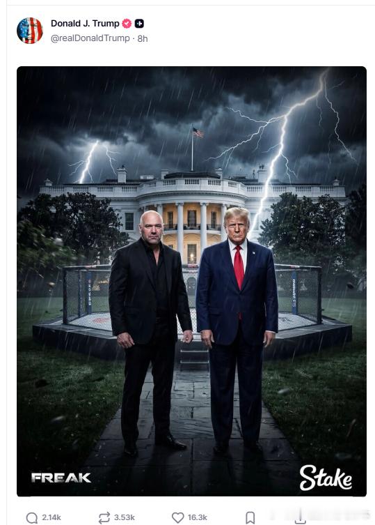 【黄金时代】川普发布和丹尼怀特白宫前UFC的海报美国和欧洲当代史川普主义研究热点