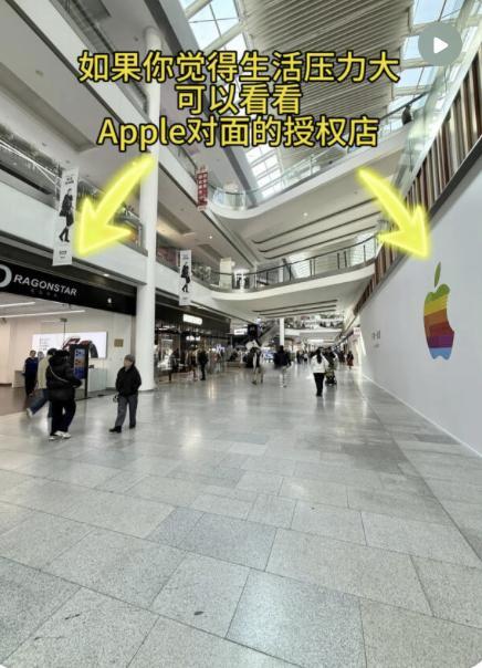 如果你觉得生活压力大，可以看看勇敢面对生活的英龙华辰。 