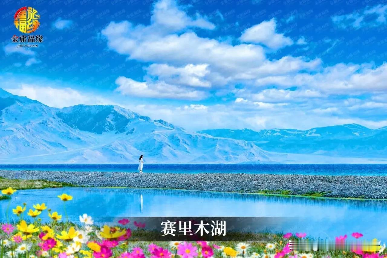 工作没有起色，我也心生退意，无依无靠的我准备7月份去新疆流浪，有人一起吗？去大西