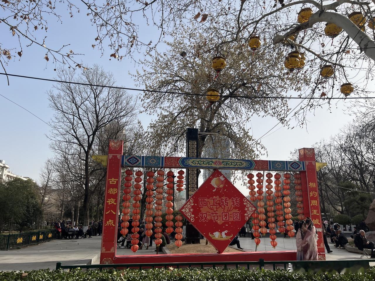 为什么洛阳牡丹广场比周王城广场更安静？

逛过洛阳两大城市广场的人，大多有个直观