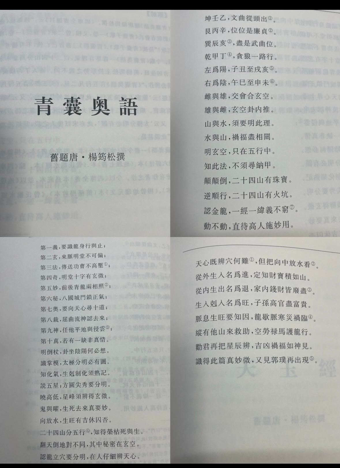 真剧王生生不息！！ 