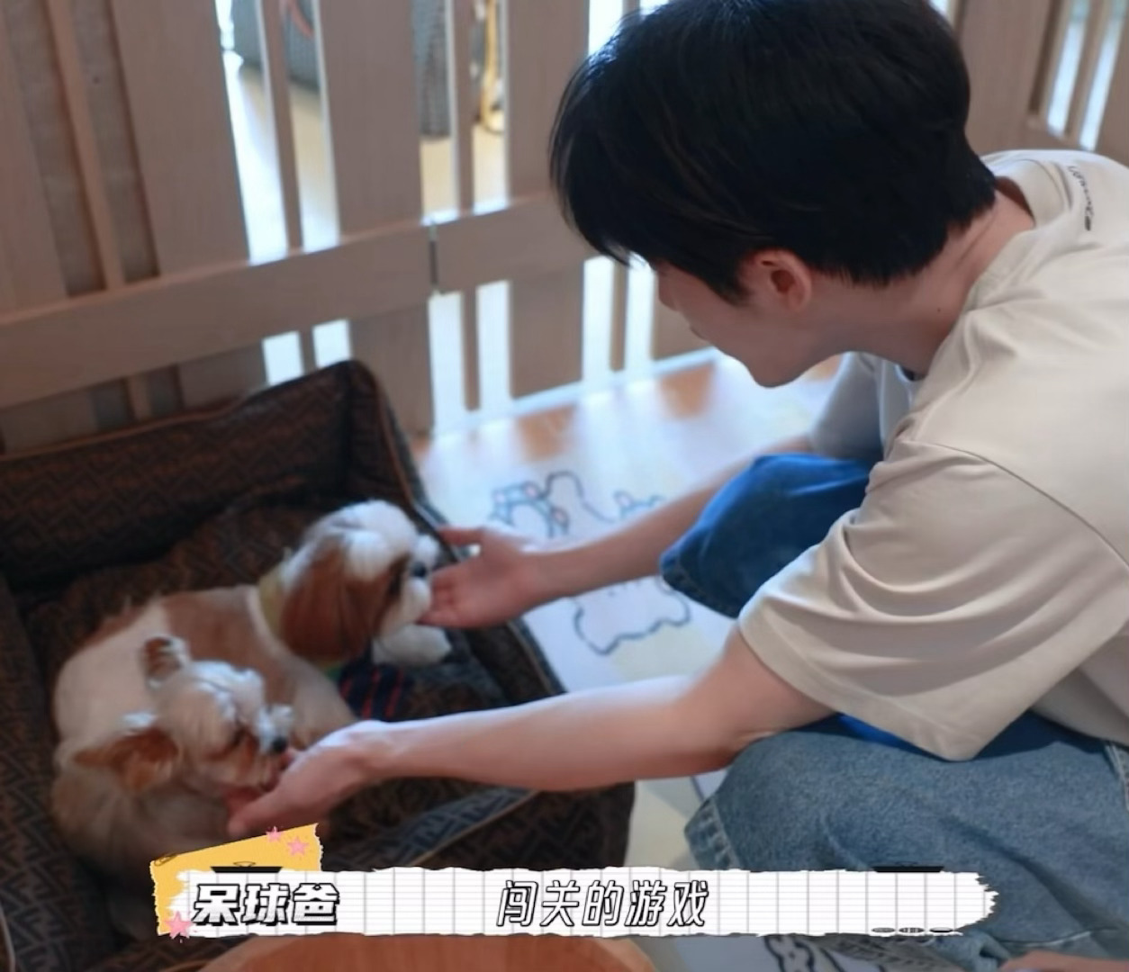 这太好代了…[捂嘴哭][捂嘴哭][捂嘴哭]我也想… ​​​