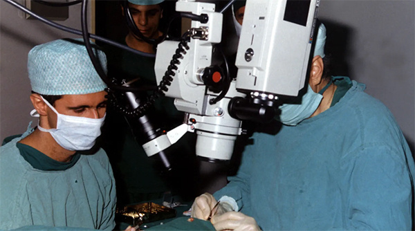 叙利亚政权更迭一周年，前总统阿萨德流亡莫斯科，正悄然重拾旧业。据知情人士透露，他