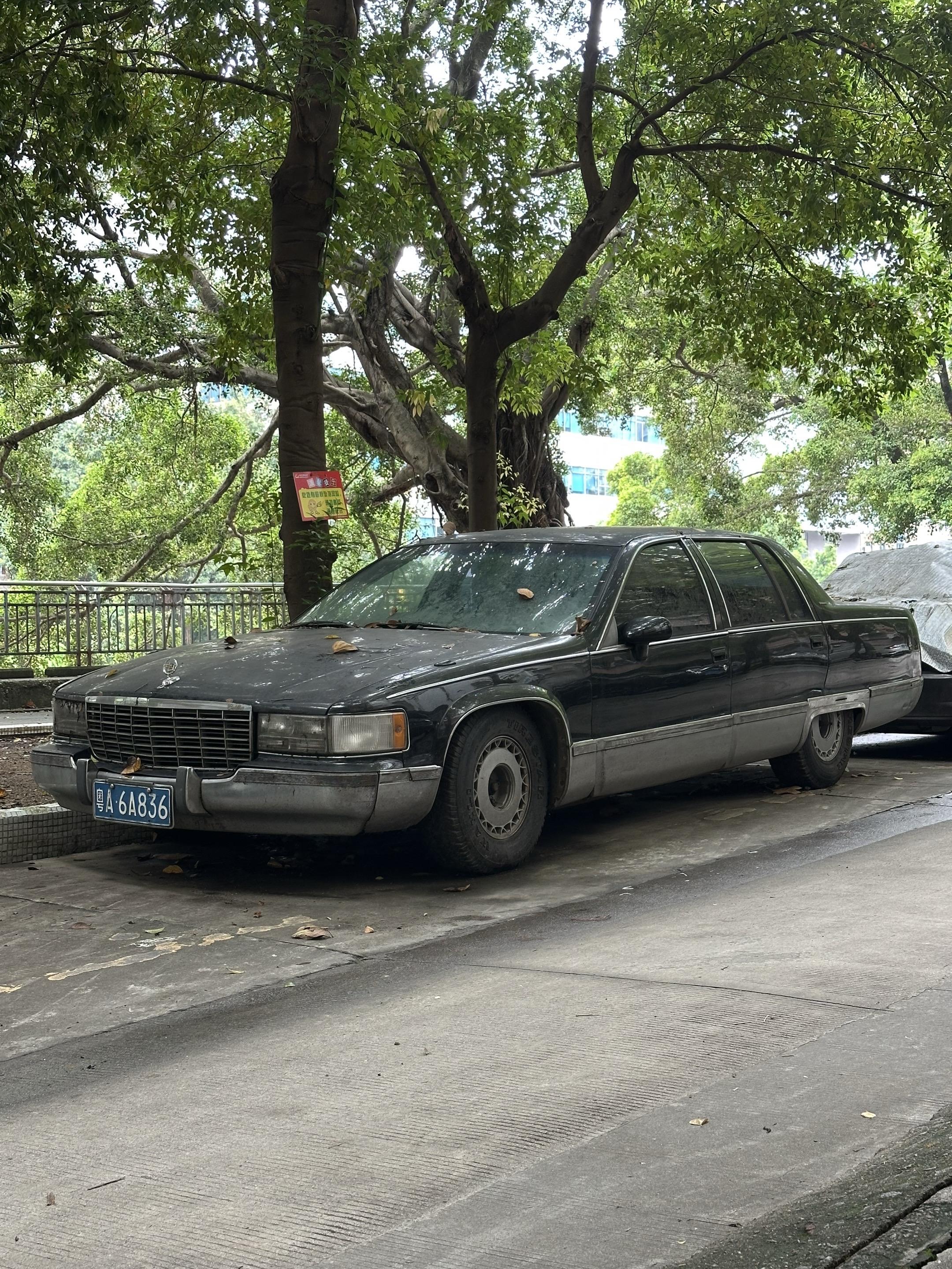 一台落寞的凯迪拉克伍德……