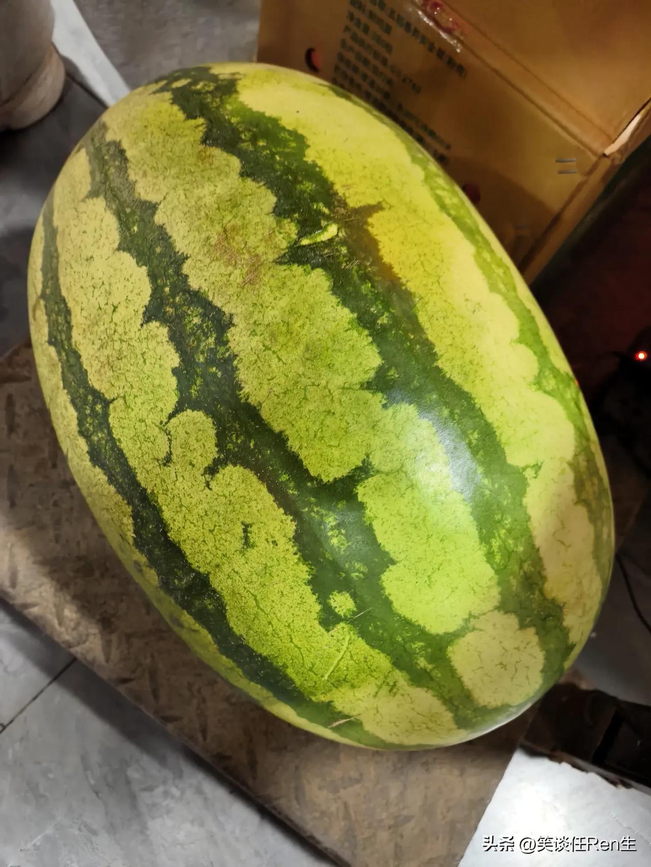 前几天去超市买菜，见两个女员工抬着一个西瓜去称重。

我说，这西瓜真大呀，恐怕得