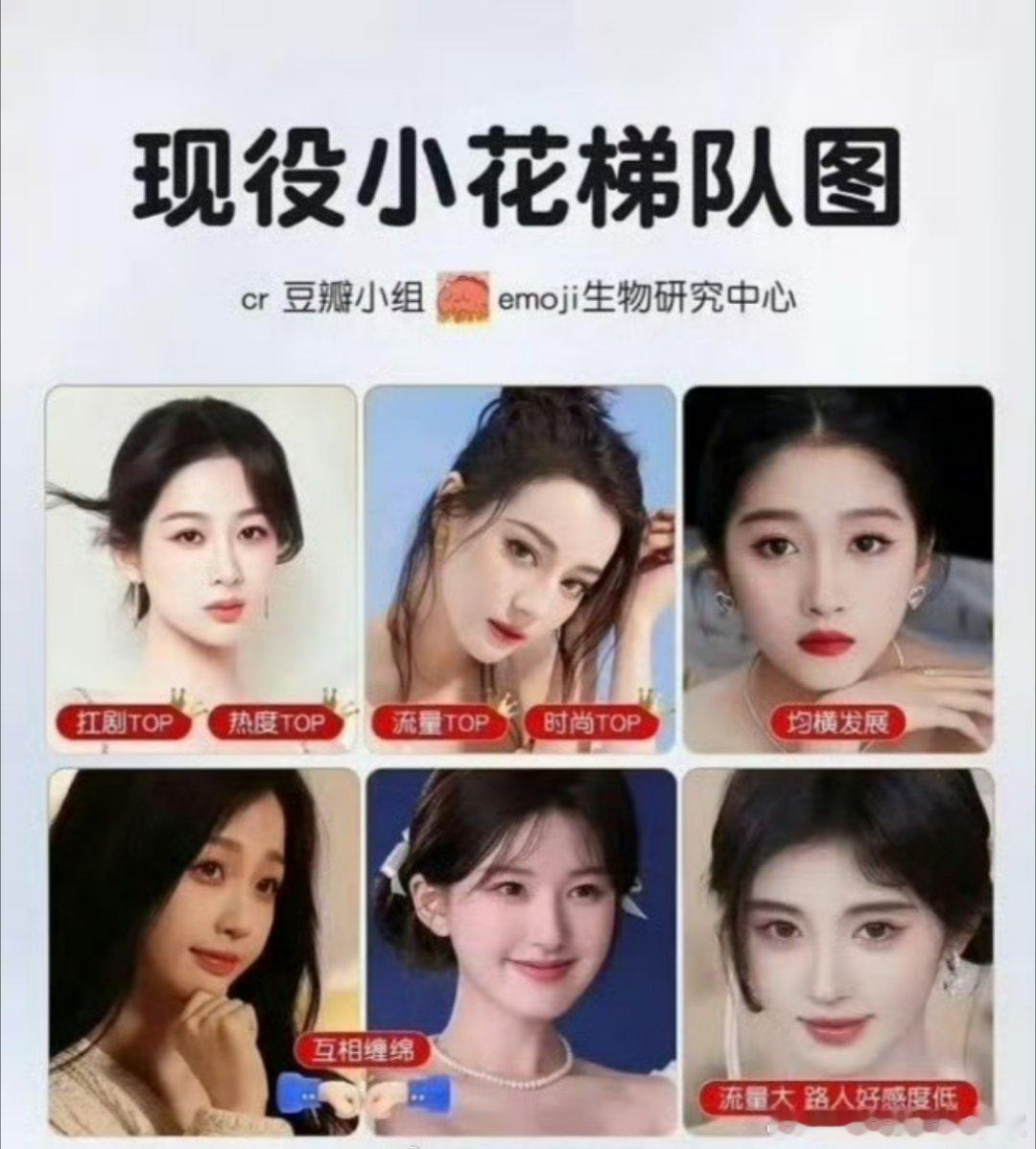 网友做的现役小花梯队…… ​​​