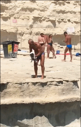 狗狗跳进海里和主人一起游泳 ​​​