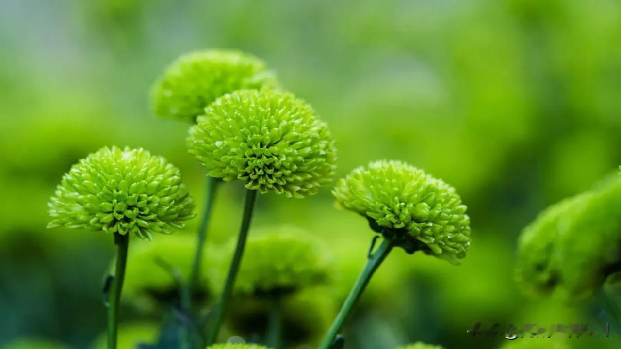 最近，我悟出了一点:人和人之间相处真的是要看缘分的！

去年10月的一天，我在微