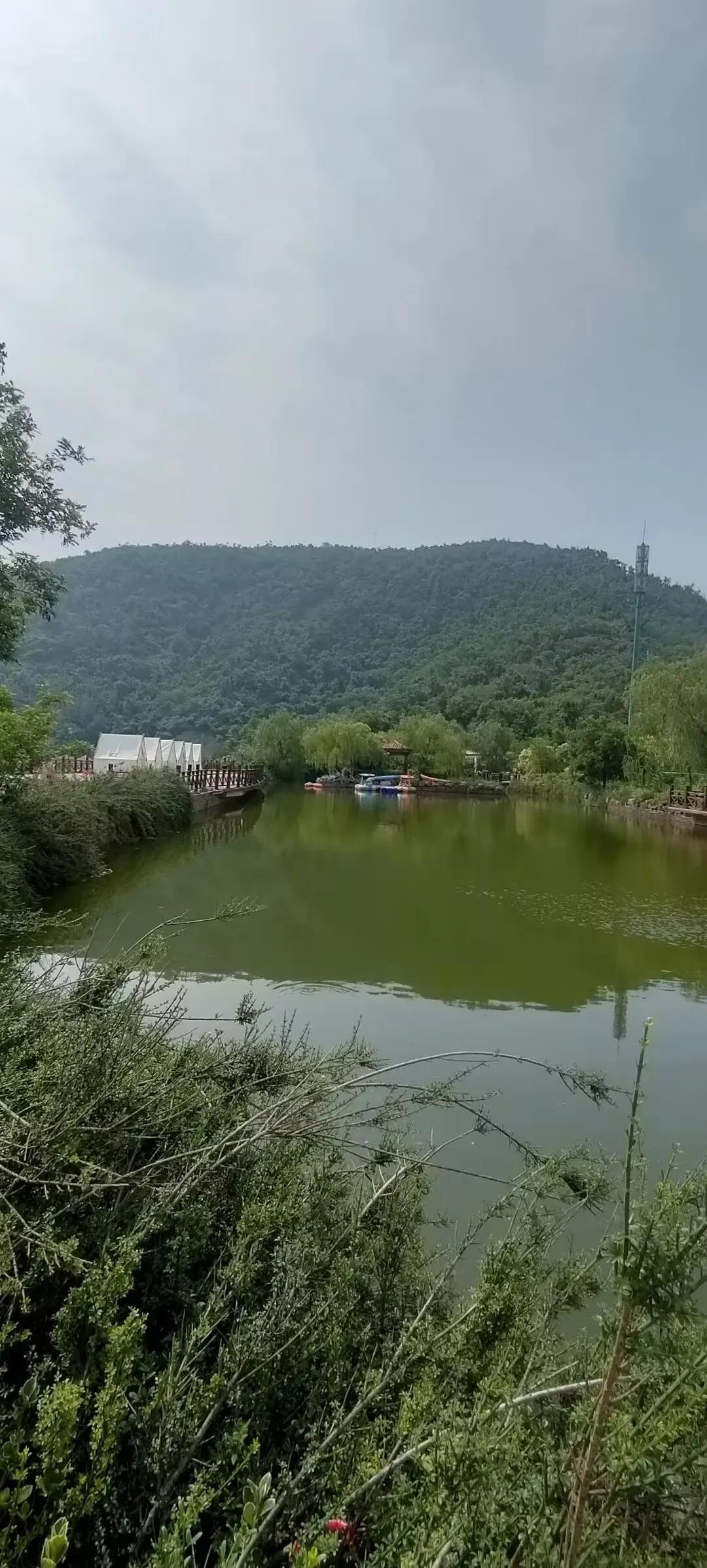 郑州五云山野生动物园从交通，客流，环境，经济，经营角度综合优势明显！备选成功可以