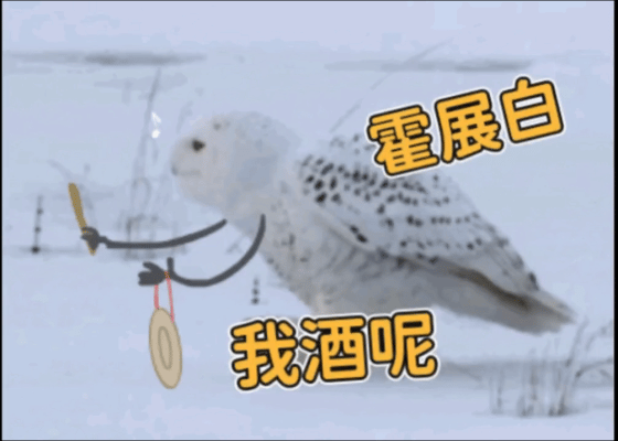 霍展白的宠物是什么呀？体积不大，但看着还挺霸气的又带点呆萌，看着像白色老鹰，又有