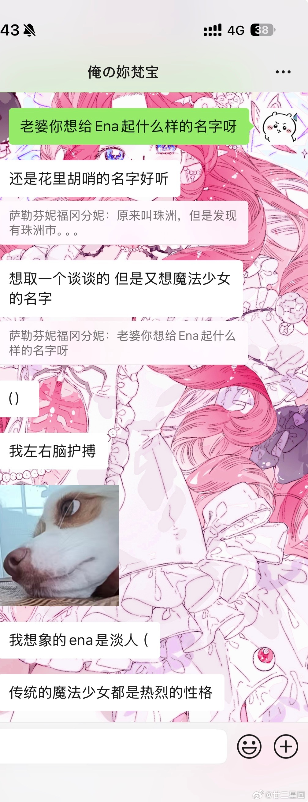 本人文化水平：闷声装大逼 ​​​