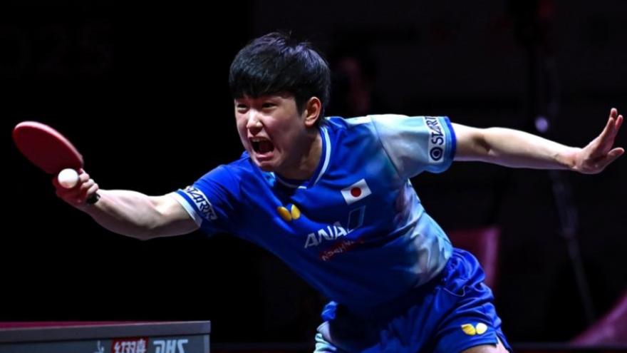 2026年WTT多哈冠军赛男单首轮，国乒向鹏与日本张本智和狭路相逢。仅23分钟，