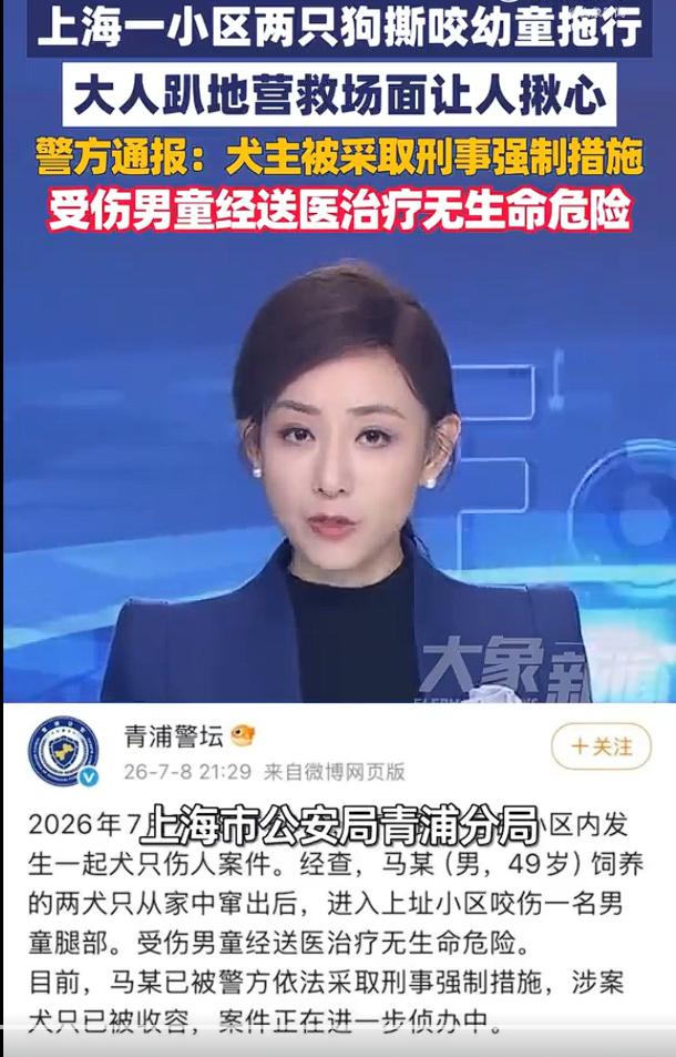 上海警方通报两犬撕咬幼童拖行：男童无生命危险，狗主人被采取刑事强制措施。这也就意