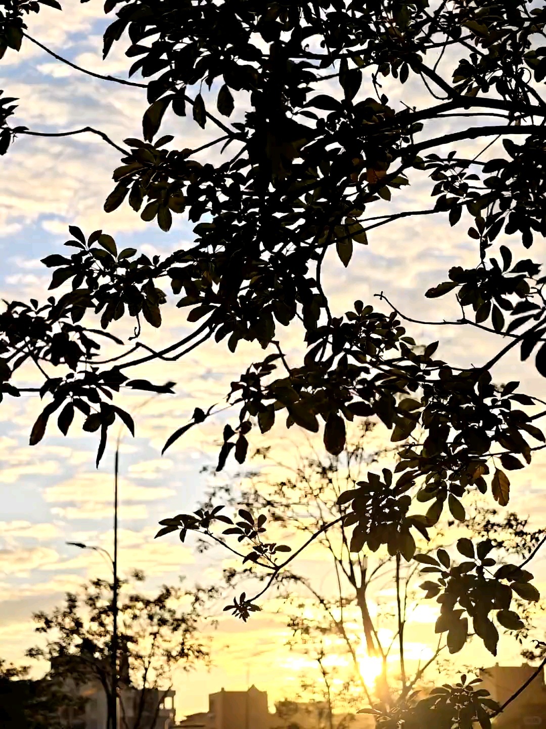 每天都是好心情. 