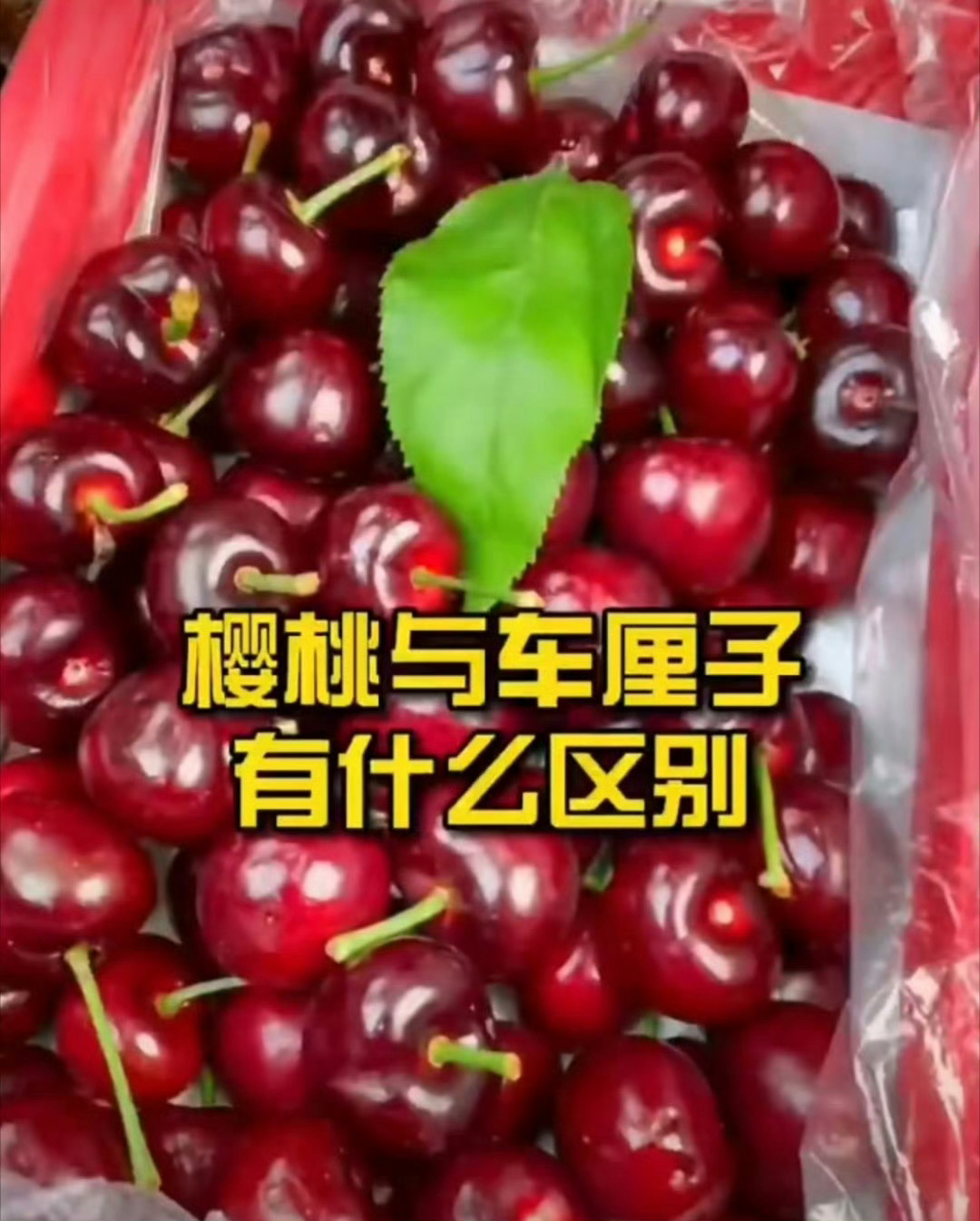 深夜话题：你喜欢吃车厘子吗？会买些当做年货么？车厘子价格暴跌近40%现在车厘子多