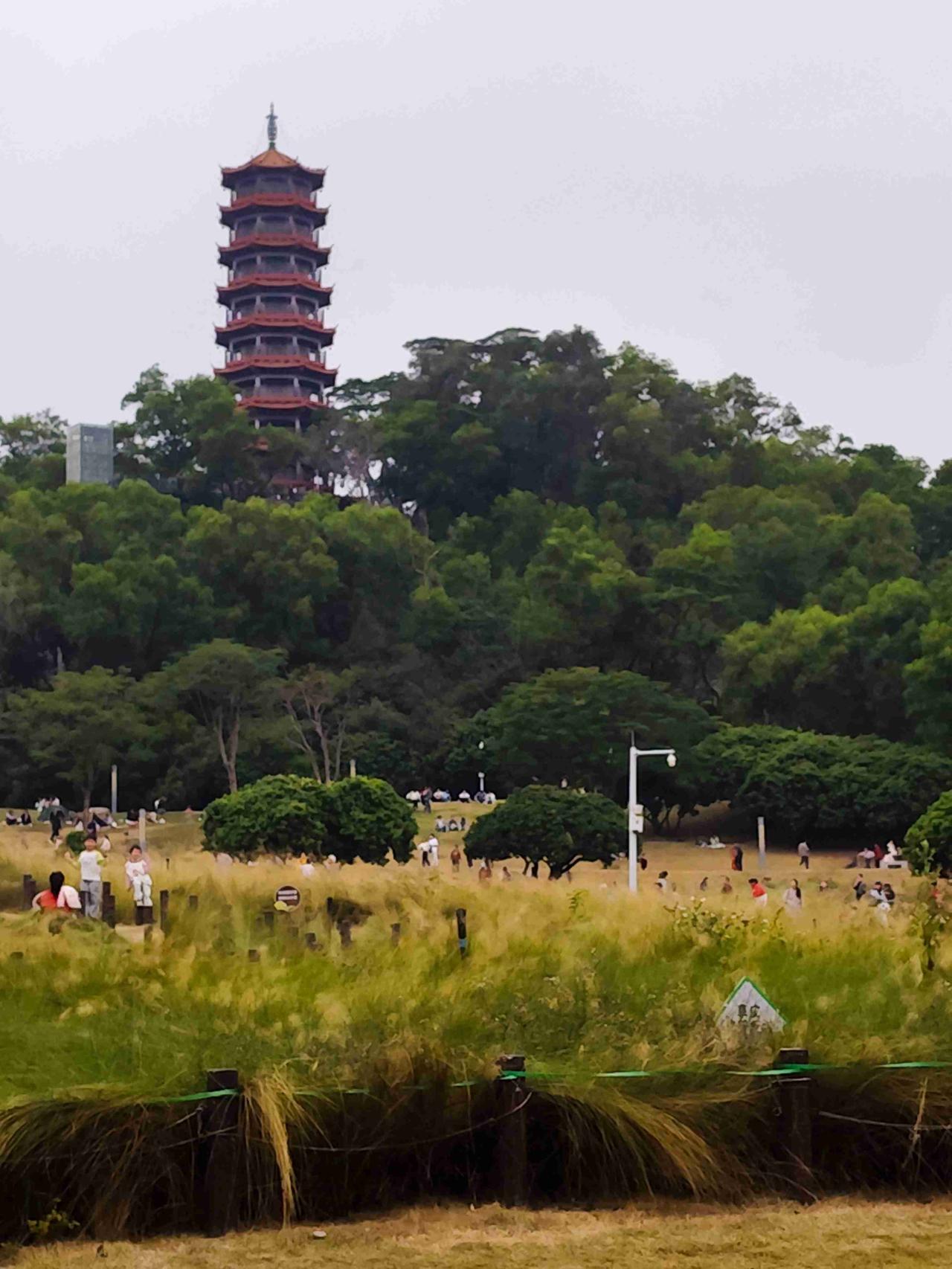 深圳市光明区红花山公园带定位晒今日生活光明公园风景 旅行打卡红花山观景平台 
我