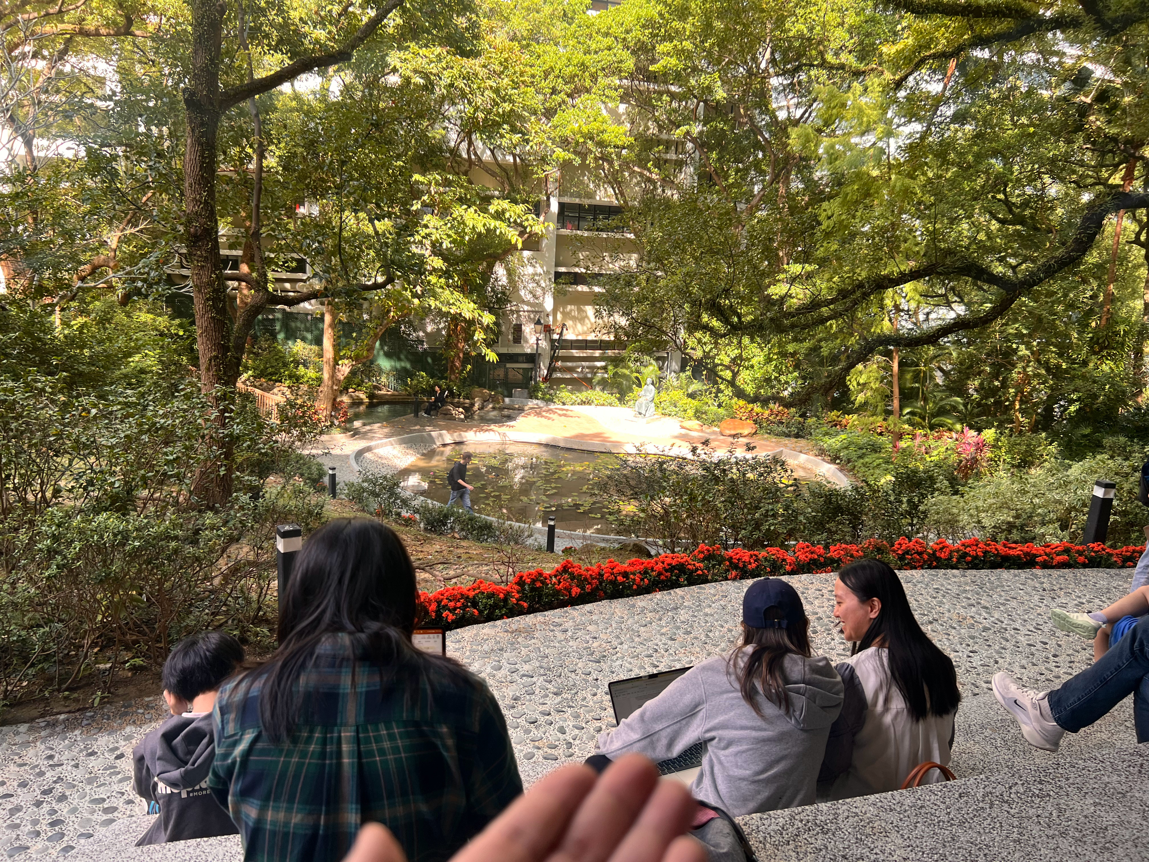 与香港大学学神们一块儿在绿荫之下思考🧐  ​​​