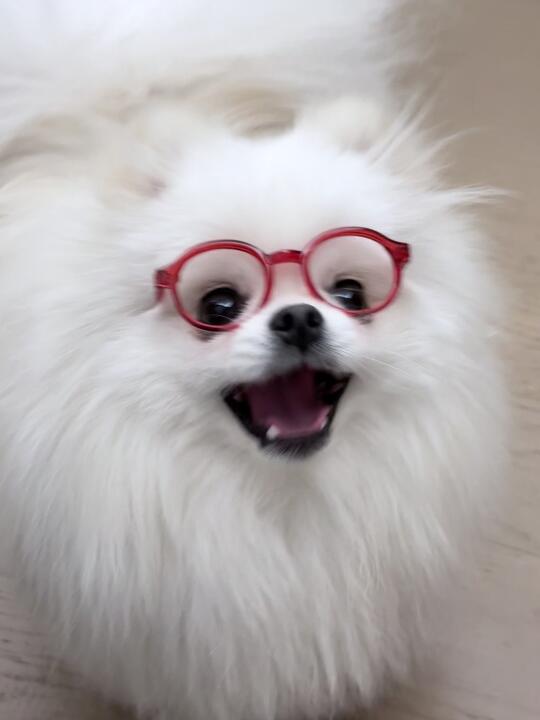 🆘这也太可爱了吧