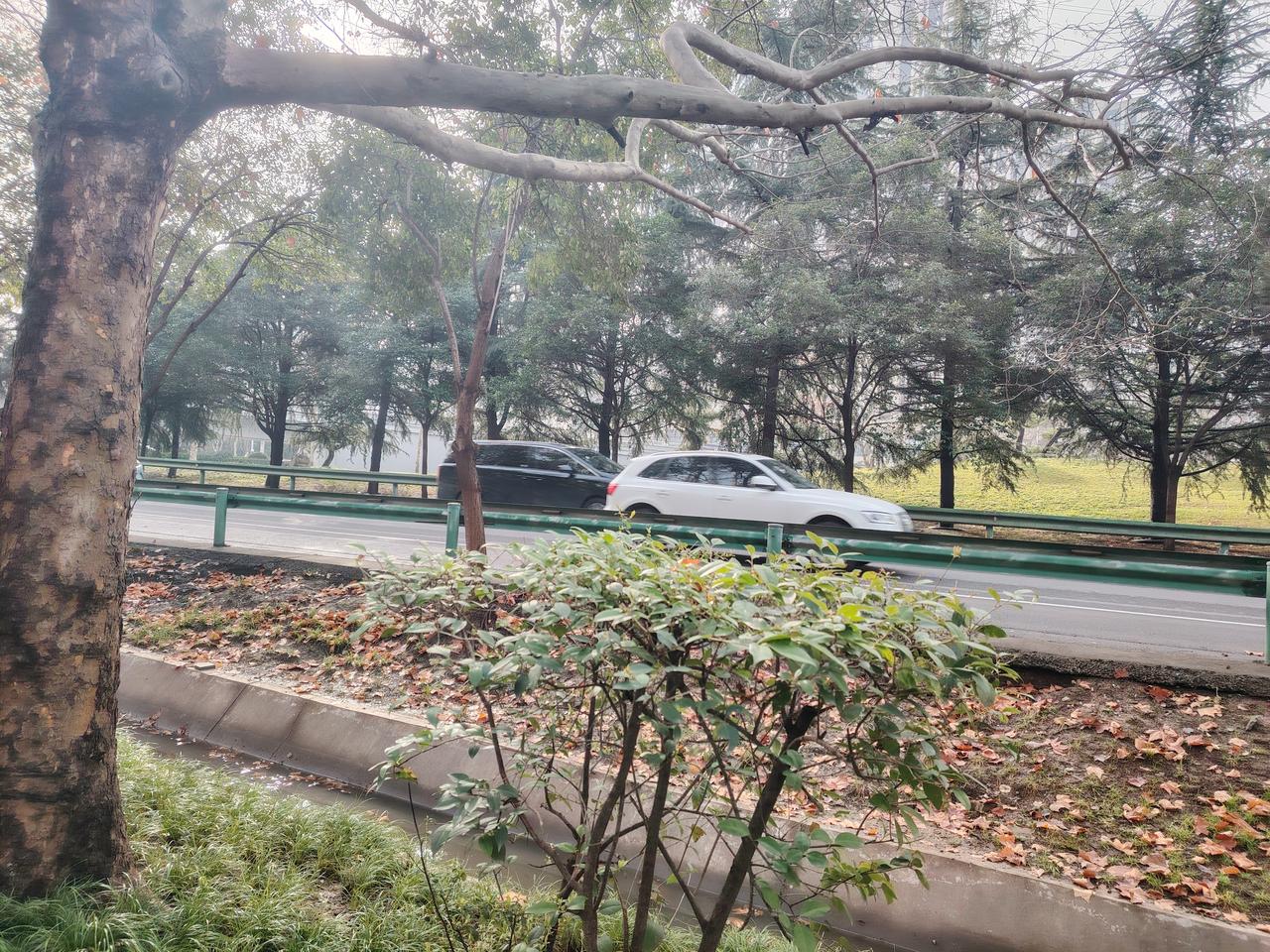 学校门口问门卫，
回答校长赴宴会。
不在乡下在省会，
哪里酒贵哪里醉。