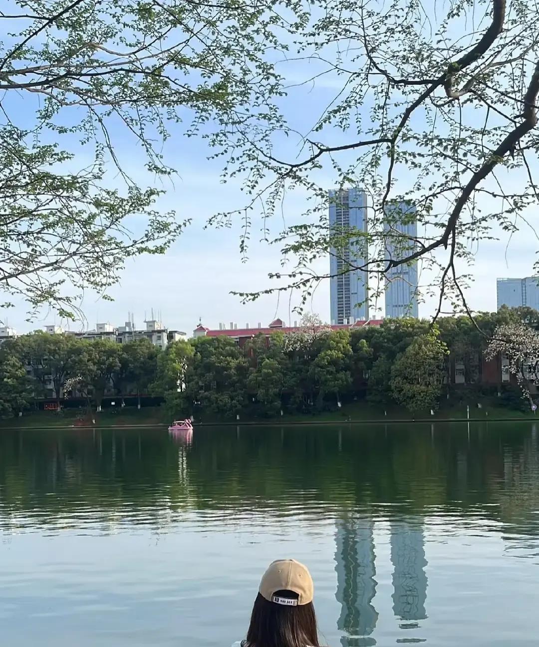 39岁同事赶在年末最后一天晒结婚证，对象是父母托人介绍的普通职员，月薪八千，老破