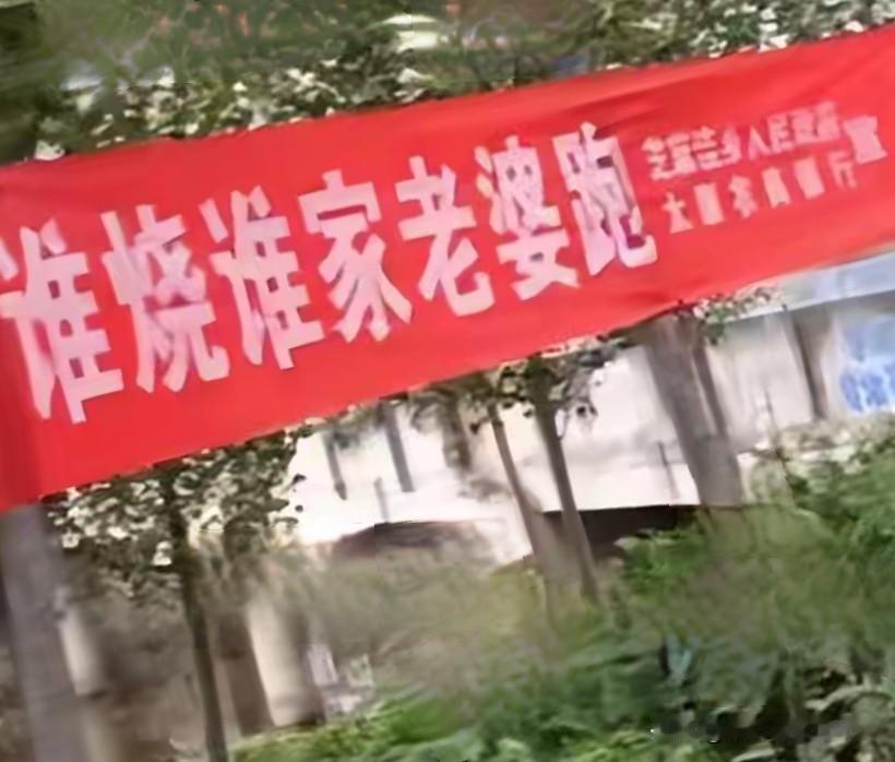 “谁烧秸秆谁老婆跑”？这哪是干部说的话？倒像混混的江湖黑话，这样的标语寒了谁的心