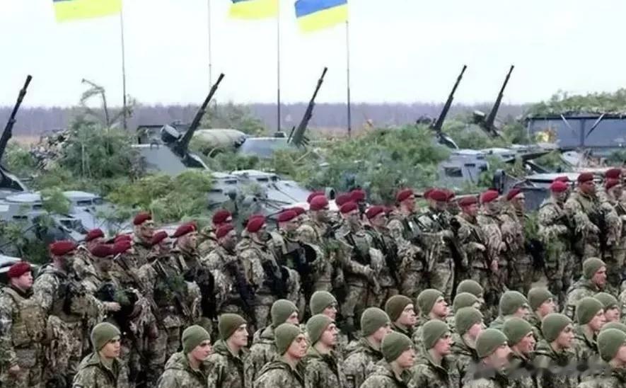 24小时损失1000人，乌克兰大军抵达白俄边境，卢卡申科发出战争警告

来源:海