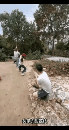 四个年轻人正在用绳子拽一棵树，谁也没有想到，就在这棵树轰然倒塌的时候，一个小男孩